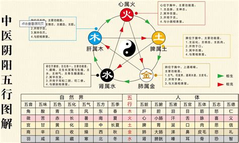 中醫五行|中醫五行:基本概念,五行屬性及歸類,五行屬性歸類,五行。